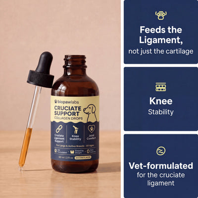 Biopawlabs Cruciate Support Collagen Drops