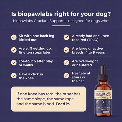 Biopawlabs Cruciate Support Collagen Drops