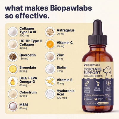 Biopawlabs Cruciate Support Collagen Drops